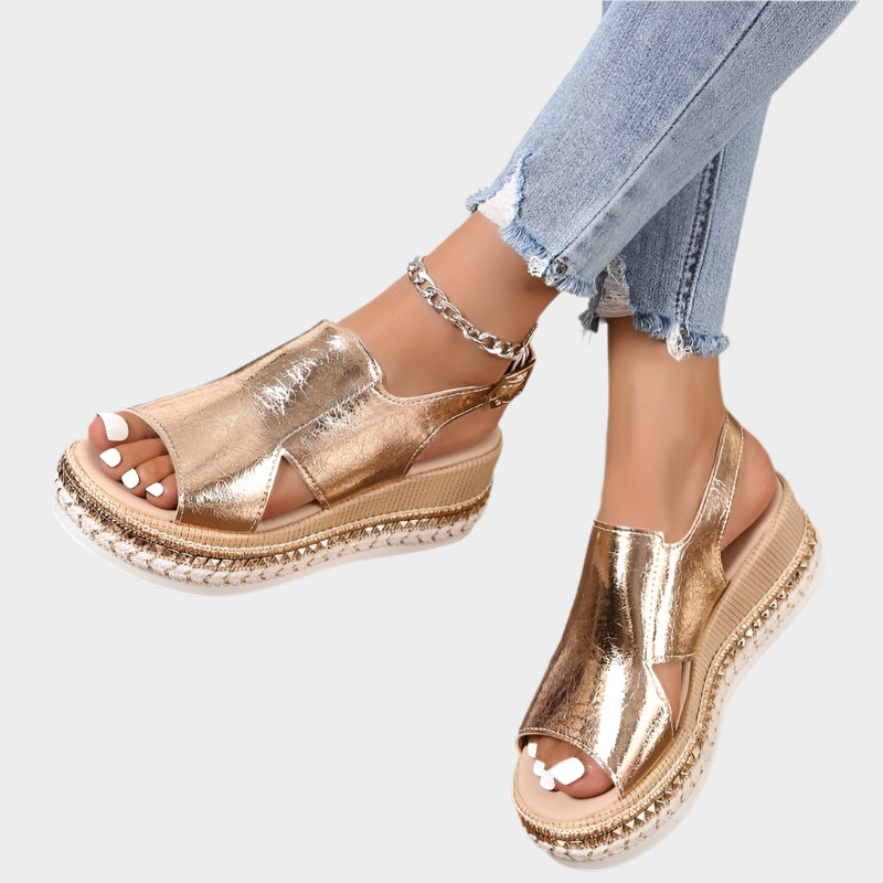 Anatomical Platforms